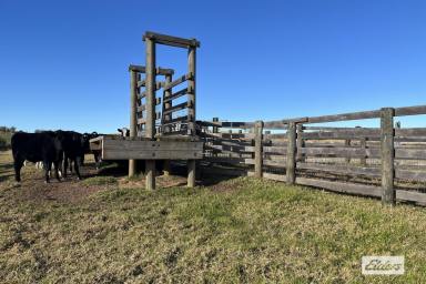 Other (Rural) For Sale - VIC - Stratford - 3862 - Hows The View ?  (Image 2)