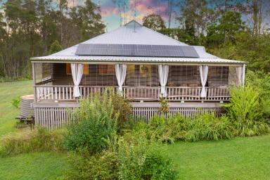 House For Sale - QLD - Black Mountain - 4563 - Classic Original Queenslander on 3.14 Acres  (Image 2)