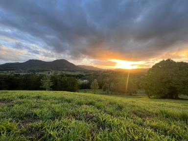 Residential Block Sold - QLD - Eerwah Vale - 4562 - Sweeping Views Sunrise to Sunset, 38 Useable Cleared Acres  (Image 2)
