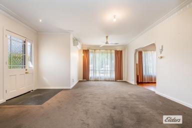 House Leased - VIC - White Hills - 3550 - Attractive and Comfortable  (Image 2)