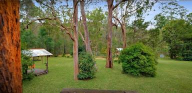 Lifestyle For Sale - NSW - Laguna - 2325 - 'Wombat Valley' - A Beautiful Wildlife Sanctuary  (Image 2)