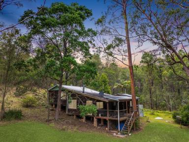 Lifestyle For Sale - NSW - Laguna - 2325 - 'Wombat Valley' - A Beautiful Wildlife Sanctuary  (Image 2)