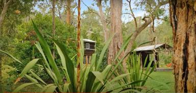 Lifestyle For Sale - NSW - Laguna - 2325 - 'Wombat Valley' - A Beautiful Wildlife Sanctuary  (Image 2)
