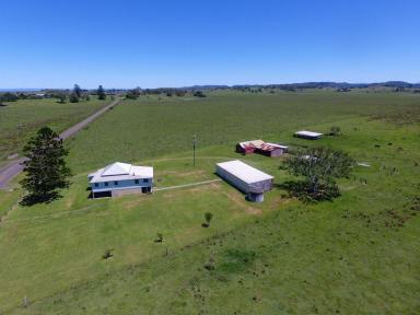 Mixed Farming For Sale - NSW - South Gundurimba - 2480 - 81 ACRES + THREE BEDROOM HOME  (Image 2)