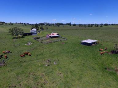 Mixed Farming For Sale - NSW - South Gundurimba - 2480 - 81 ACRES + THREE BEDROOM HOME  (Image 2)