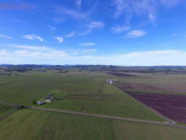 Livestock For Sale - NSW - South Gundurimba - 2480 - 81 ACRE RURAL PACKAGE  (Image 2)