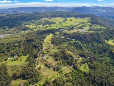 Acreage/Semi-rural For Sale - NSW - Stony Chute - 2480 - 57-Acre Estate with Spectacular Views and Dual Residences  (Image 2)