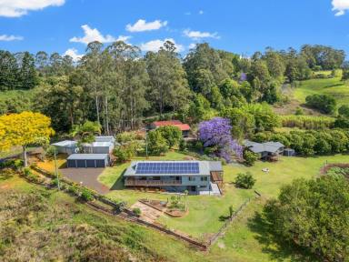 Acreage/Semi-rural For Sale - NSW - Stony Chute - 2480 - 57-Acre Estate with Spectacular Views and Dual Residences  (Image 2)
