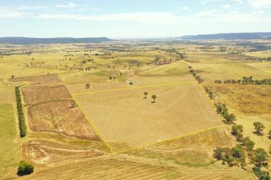 Mixed Farming For Sale - NSW - Young - 2594 - Potential meets practicality  (Image 2)