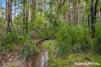 Other (Rural) For Sale - NSW - Falls Creek - 2540 - Wow on Woollamia Road!  (Image 2)