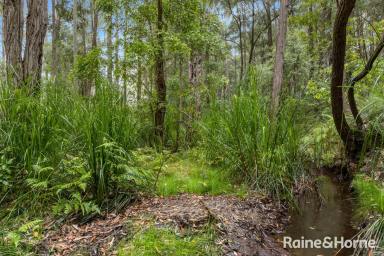 Other (Rural) For Sale - NSW - Falls Creek - 2540 - Wow on Woollamia Road!  (Image 2)