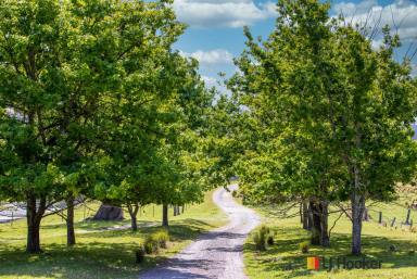 Acreage/Semi-rural For Sale - NSW - Mogo - 2536 - Opportunity Knocks!  (Image 2)