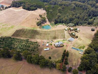 Mixed Farming For Sale - WA - Pemberton - 6260 - Tranquillity and Diversity  (Image 2)