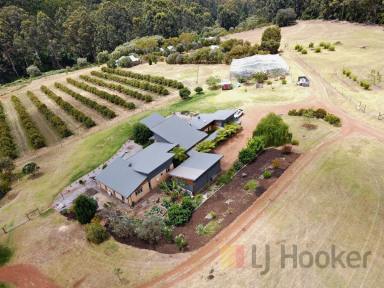 Mixed Farming For Sale - WA - Pemberton - 6260 - Tranquillity and Diversity  (Image 2)