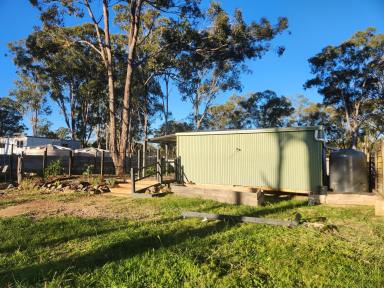 Residential Block For Sale - QLD - Yarraman - 4614 - A spacious block with great features near the Brisbane Vally Rail trail  (Image 2)