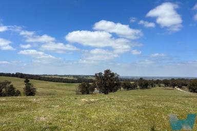Lifestyle For Sale - VIC - Wuk Wuk - 3875 - Elevated Rural Charm  (Image 2)
