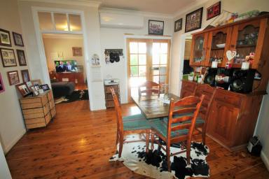 House Sold - NSW - Merriwa - 2329 - Peaceful location  (Image 2)