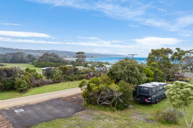 Residential Block For Sale - VIC - Marengo - 3233 - TIGHTLY HELD TREASURE  (Image 2)