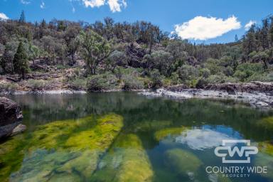 Lifestyle Sold - NSW - Inverell - 2360 - "JIMARGIE" Murray Cod Fishing Paradise  (Image 2)