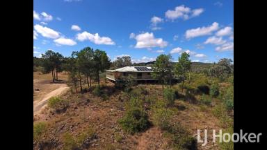 Lifestyle For Sale - NSW - Inverell - 2360 - 2 Homes for the price of one – Don't miss this opportunity –  (Image 2)