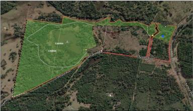 Lifestyle For Sale - NSW - Clearfield - 2469 - NATURES WONDERLAND  (Image 2)