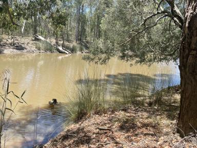 Lifestyle For Sale - NSW - Clearfield - 2469 - NATURES WONDERLAND  (Image 2)