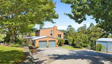 House For Sale - VIC - Drouin West - 3818 - PRICE REDUCED!! - 5 Bedrooms, 4 Paddocks, Ferngully, Huge Shed..  (Image 2)