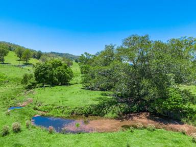 Lifestyle For Sale - NSW - Spring Grove - 2470 - Rural Retreat on Private Road with Creek Frontage  (Image 2)