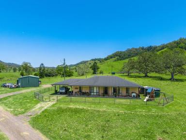 Lifestyle For Sale - NSW - Spring Grove - 2470 - Rural Retreat on Private Road with Creek Frontage  (Image 2)