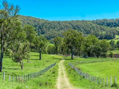 Mixed Farming For Sale - NSW - Fernside - 2480 - Grazing  - Cropping - 335 Acres with 5 Bed Home  (Image 2)