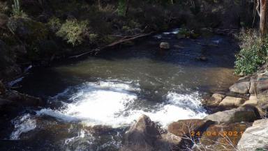 Lifestyle For Sale - NSW - Tumbarumba - 2653 - SNOWY MOUNTAINS NSW. 290 Acres on Paddy's River.  (Image 2)