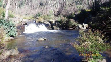 Lifestyle For Sale - NSW - Tumbarumba - 2653 - SNOWY MOUNTAINS NSW. 290 Acres on Paddy's River.  (Image 2)