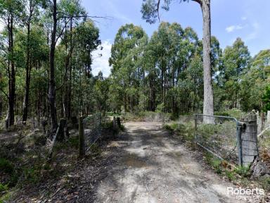 Residential Block Sold - TAS - Ellendale - 7140 - Peace & Quiet with so much Natural Beauty  (Image 2)