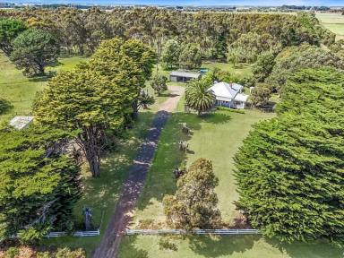 Lifestyle For Sale - VIC - Hawkesdale - 3287 - “CARCOOLA”  19.06 Acres - 7. 7 Ha *  (Image 2)