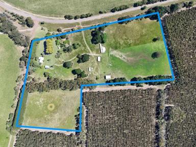 Lifestyle For Sale - VIC - Hawkesdale - 3287 - “CARCOOLA”  19.06 Acres - 7. 7 Ha *  (Image 2)