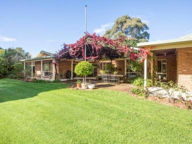 Acreage/Semi-rural For Sale - NSW - Brogo - 2550 - COUNTRY LIVING AT ITS BEST!  (Image 2)