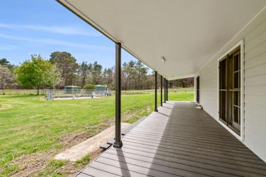 Lifestyle For Sale - NSW - Tallong - 2579 - Seize the Opportunity to own a Stunning Acreage Property  (Image 2)