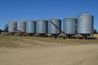 Mixed Farming For Sale - NSW - Garema - 2871 - Mixed Farming Opportunity South Of Forbes  (Image 2)