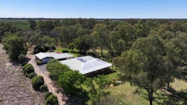 House For Sale - NSW - Moree - 2400 - Brick Family Home With Open Space  (Image 2)