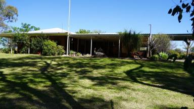 House For Sale - NSW - Moree - 2400 - Brick Family Home With Open Space  (Image 2)