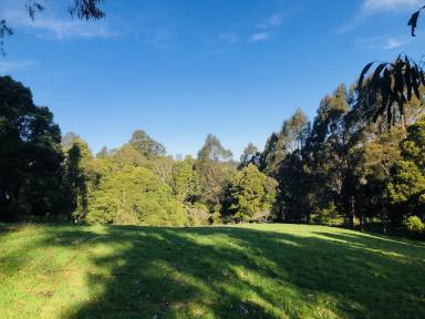 Acreage/Semi-rural For Sale - VIC - Toora - 3962 - "Spring Valley"  (Image 2)