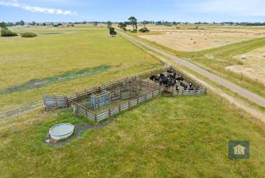 Lifestyle For Sale - VIC - Cororooke - 3254 - Promising piece of land in Cororooke..  (Image 2)