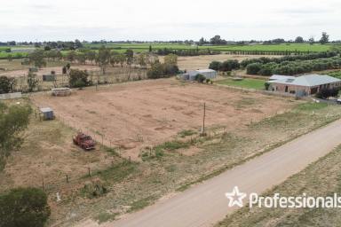 Residential Block For Sale - VIC - Red Cliffs - 3496 - Over One Acre & I Come with a Permit  (Image 2)