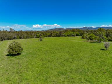 Lifestyle For Sale - NSW - Nabiac - 2312 - Acres with Boat Access to Forster.  (Image 2)