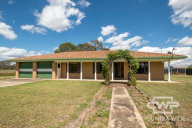 House For Sale - NSW - Emmaville - 2371 - Charming Brick Home on Expansive Land in the Heart of Emmaville  (Image 2)