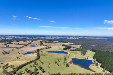 Acreage/Semi-rural For Sale - NSW - Sutton Forest - 2577 - Large Scale Land Holding with Water & Natural Beauty  (Image 2)