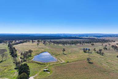 Acreage/Semi-rural For Sale - NSW - Sutton Forest - 2577 - Large Scale Land Holding with Water & Natural Beauty  (Image 2)