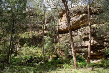 Acreage/Semi-rural For Sale - NSW - Sutton Forest - 2577 - The Perfect Balance of Grazing & Nature  (Image 2)