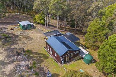 House Sold - TAS - Nubeena - 7184 - All "off the Grid". Living the dream! Surrounded by nature, the birds and wildlife abound, this truly is an amazing natural retreat.  (Image 2)