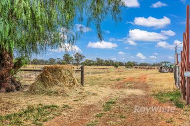 Cropping For Sale - VIC - Merrigum - 3618 - Fantastic Starting Point!  (Image 2)